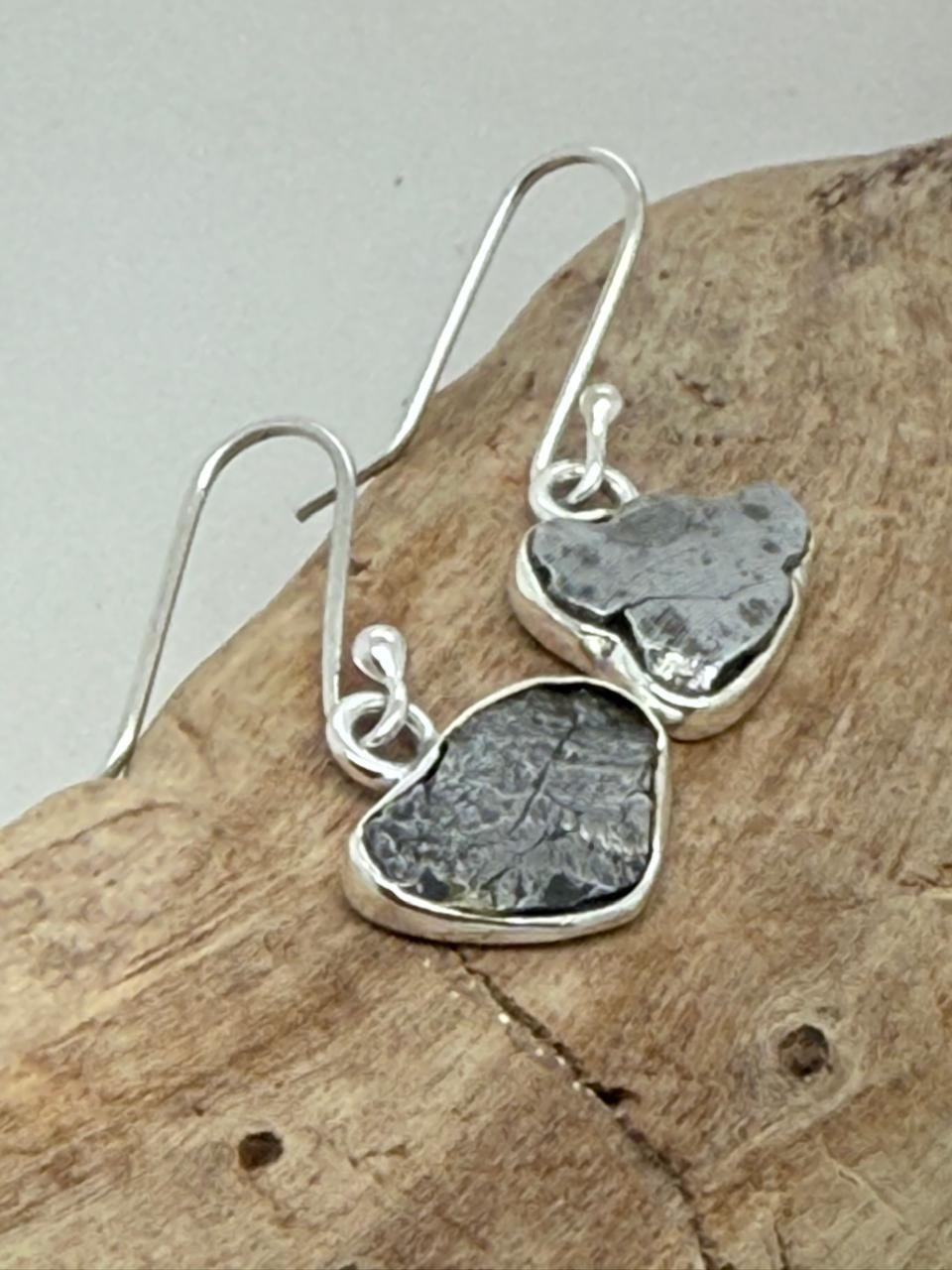Meteorite Hook Earrings