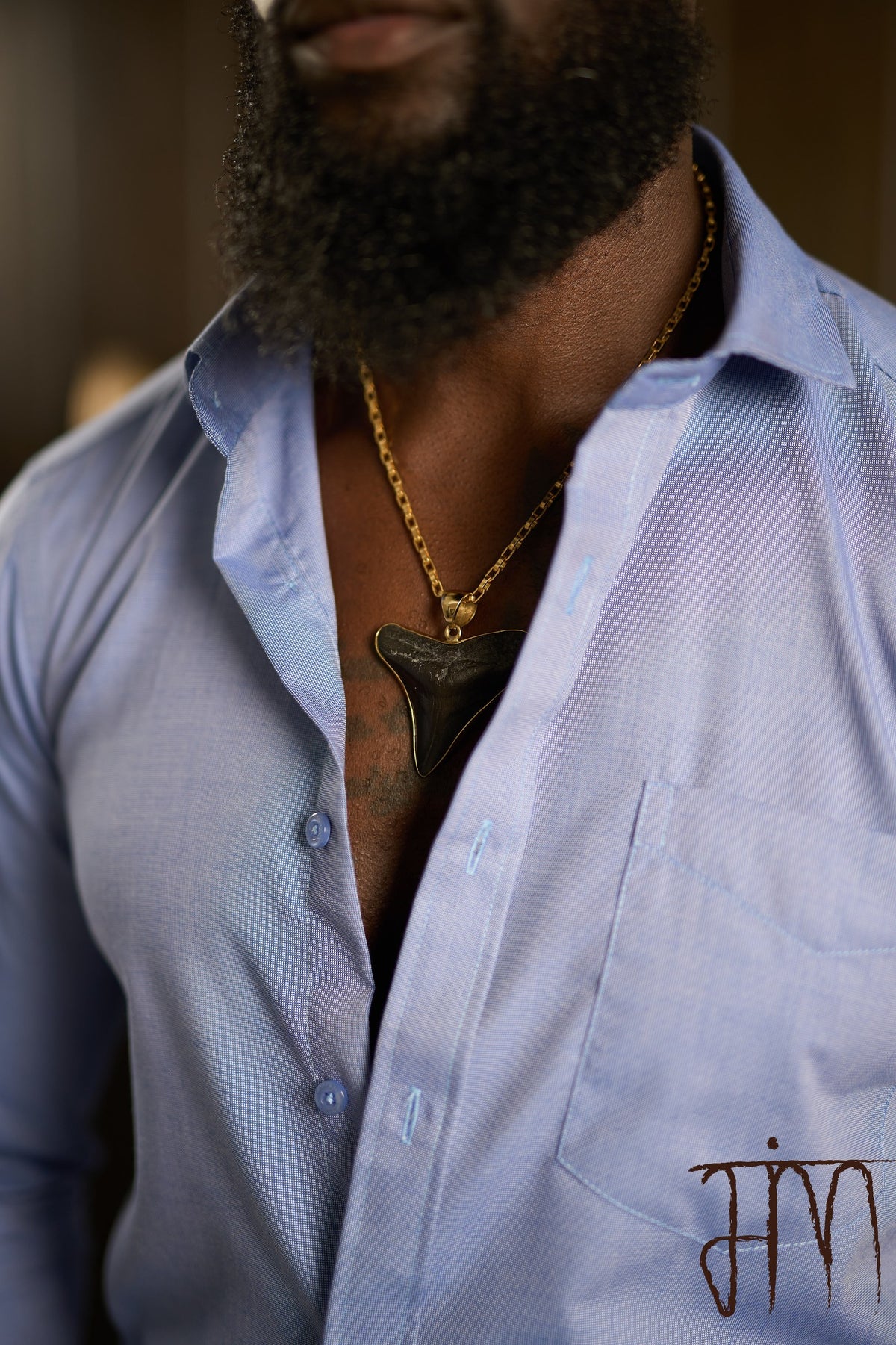 Fossil Megalodon Shark Pendant