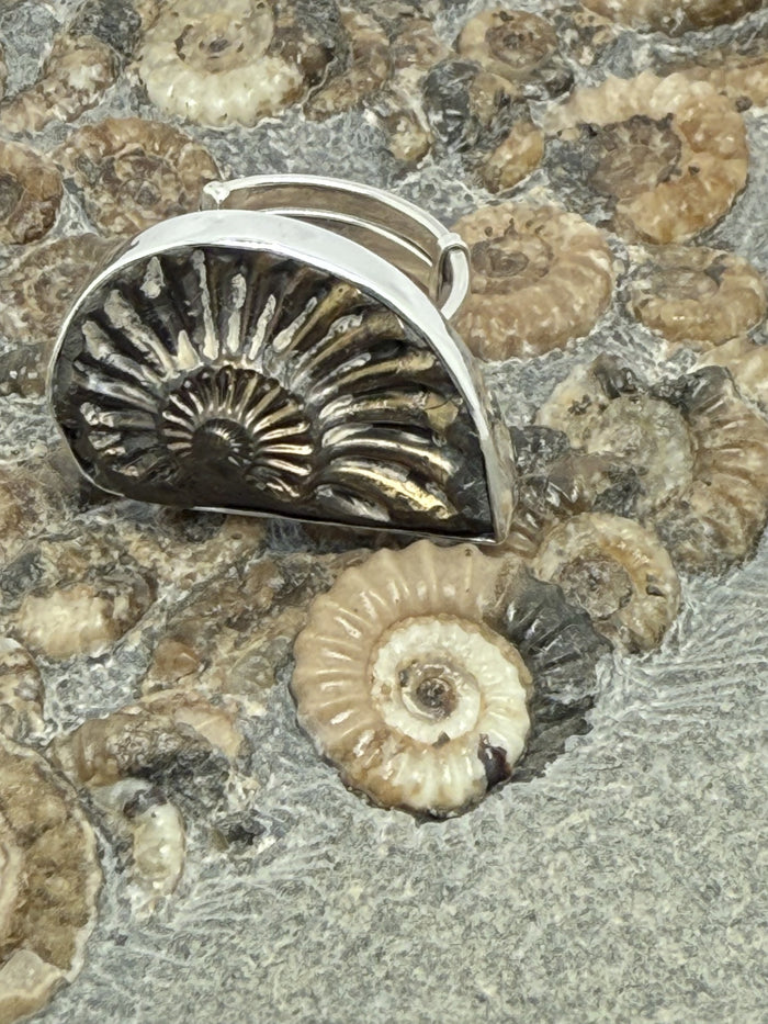 Pyritized Ammonite Imprint Ring